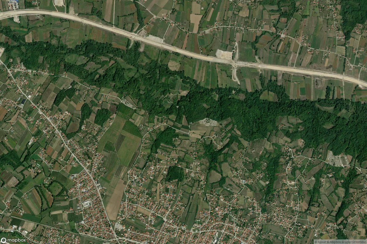 Miokovci